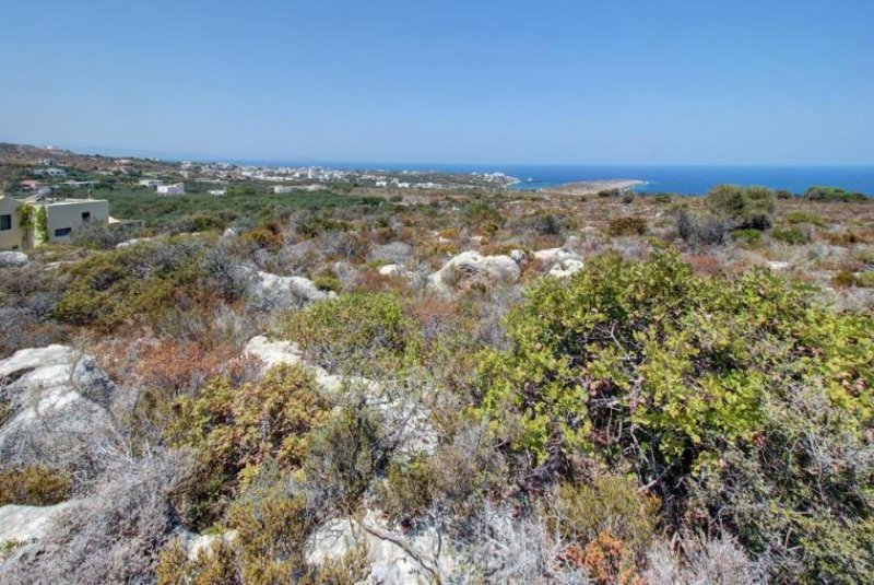 Kalathas Kreta, Kalathas: Grundstück mit herrlichem Blick auf das Meer und die Weißen Berge zu verkaufen Grundstück kaufen